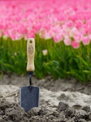 DeWit Håndspade X-treme - favoritten