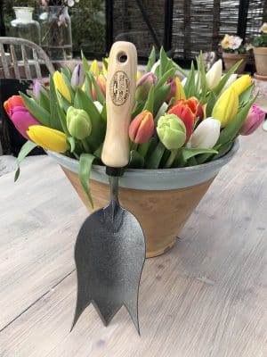 tulipanspaden